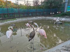 -齐齐哈尔龙沙动植物园