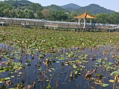 -红山村
