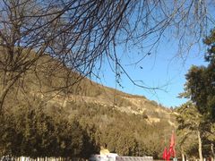 -延安杨家岭革命旧址