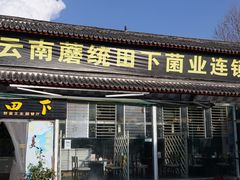 -蘑统田下·野生菌火锅