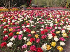 -石家庄市植物园
