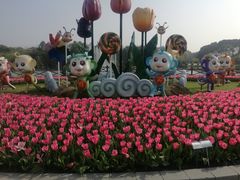 -上海鲜花港