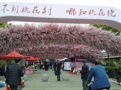 iphone_upload_pic-南汇桃花村