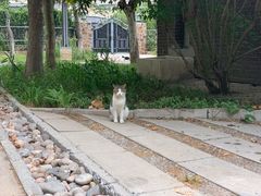 -天津东丽湖风景区