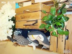 -Babycat私家御饼屋(龙头路一店)