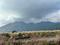 -盐洲岛