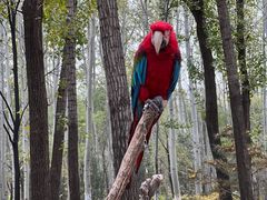 -北京野生动物园