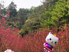 -白水带风景区体育公园