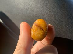 -阿男野栗王(金门路店)