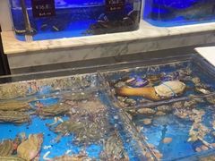 -箸福·夜上海(雨花客厅店)