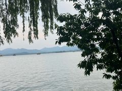 -杭州西湖柳莺里酒店·闻莺厅