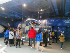 -飞行家太空体验馆(祥云小镇店)