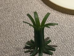 -圆苑(静安寺店)