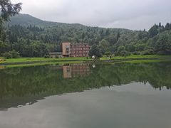 -武陵山森林公园