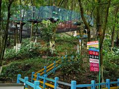 -天鹿湖森林公园