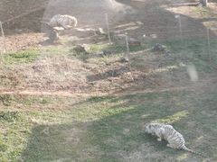 -无锡动物园·太湖欢乐园
