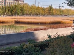 -党河风情线国家水利风景区