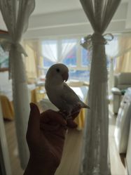 -荟草堂专业祛痘修护中心