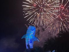 -珠海长隆海洋王国