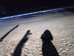 -那琴半岛地质海洋公园