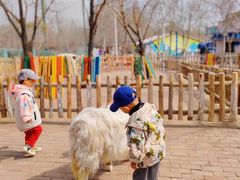 -水上乐园·欢乐世界