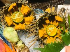 海胆-皇品田苑日式料理(苏州中心店)