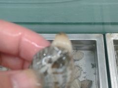 -旺中旺生活超市(居住主题店)