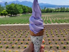 -富田农场
