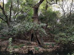 -秋霞圃