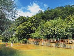 -广州白江湖森林公园