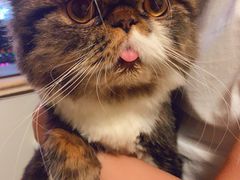 -安安宠医·安宠宠物医院