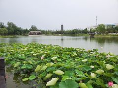 -西海子公园