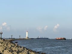 -上海吴淞炮台湾国家湿地公园