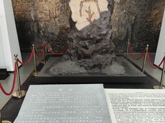 -亳州博物馆