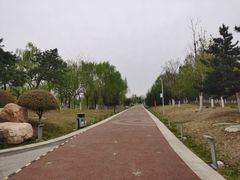 -莫子山公园