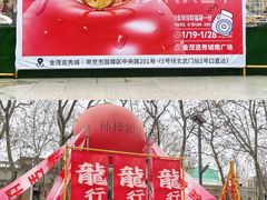 -金茂览秀城