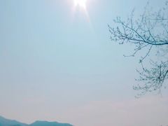 -楠溪江风景名胜区