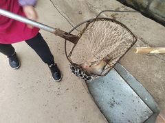 -姥家大锅台水库渔家