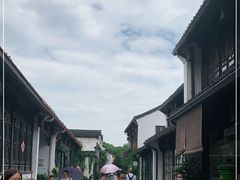 -运河游船(武林门码头)