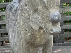 -上海佘山国家森林公园西佘山园