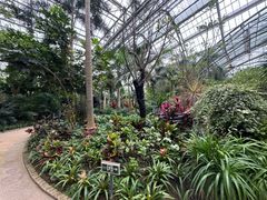 -南山植物园