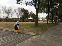 -新江湾城公园