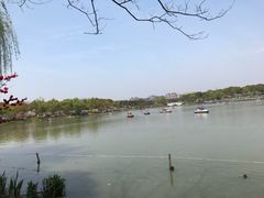 -昆山城市生态森林公园