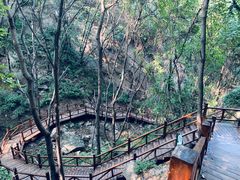 -大岭沟猕猴桃谷风景区