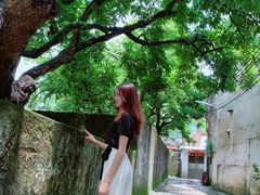 -三溪村