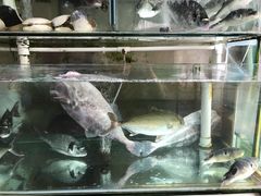 -祈胜邨•顺德鱼生•顺德菜(容桂店)
