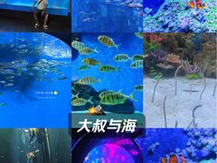 -成都浩海立方海洋公园