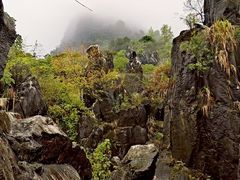 -玉石林风景区