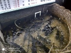 -咱屯子锅台鱼(岳阳街店)