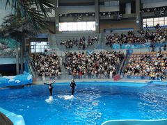 -海合安成都极地海洋公园
